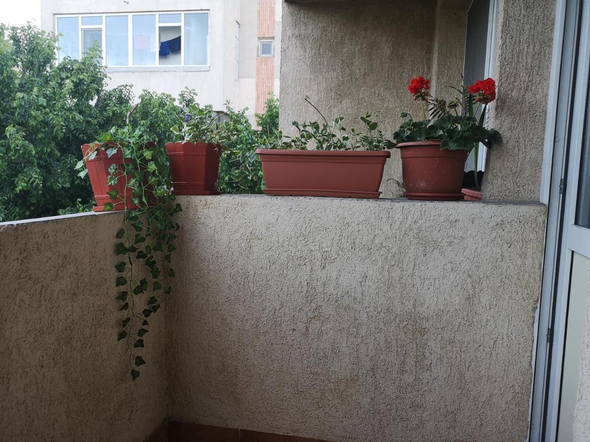Apartament Anca Apartment Constanta Exterior photo